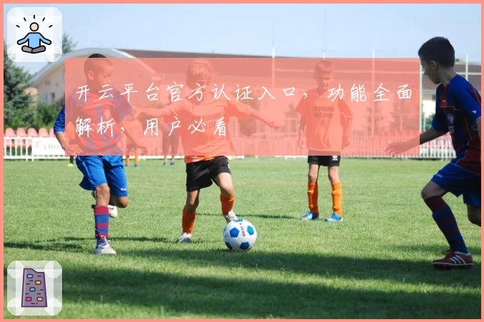 开云平台官方认证入口，功能全面解析，用户必看