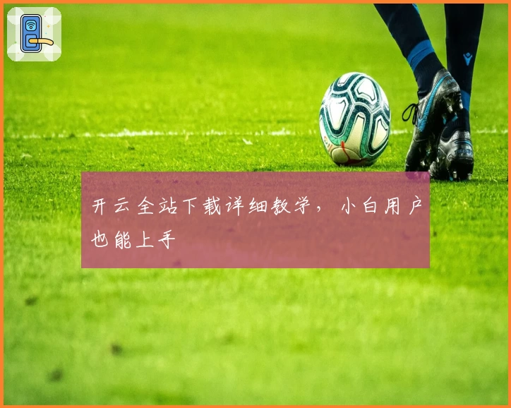 开云全站下载详细教学,小白用户也能上手
