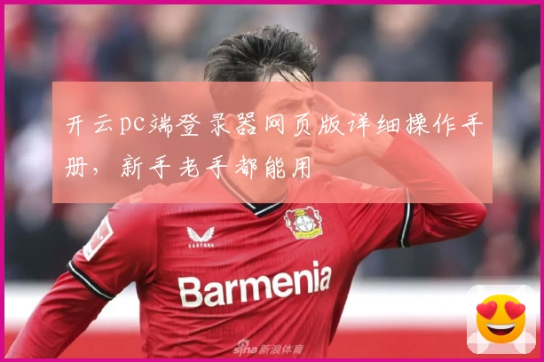 开云pc端登录器网页版详细操作手册，新手老手都能用
